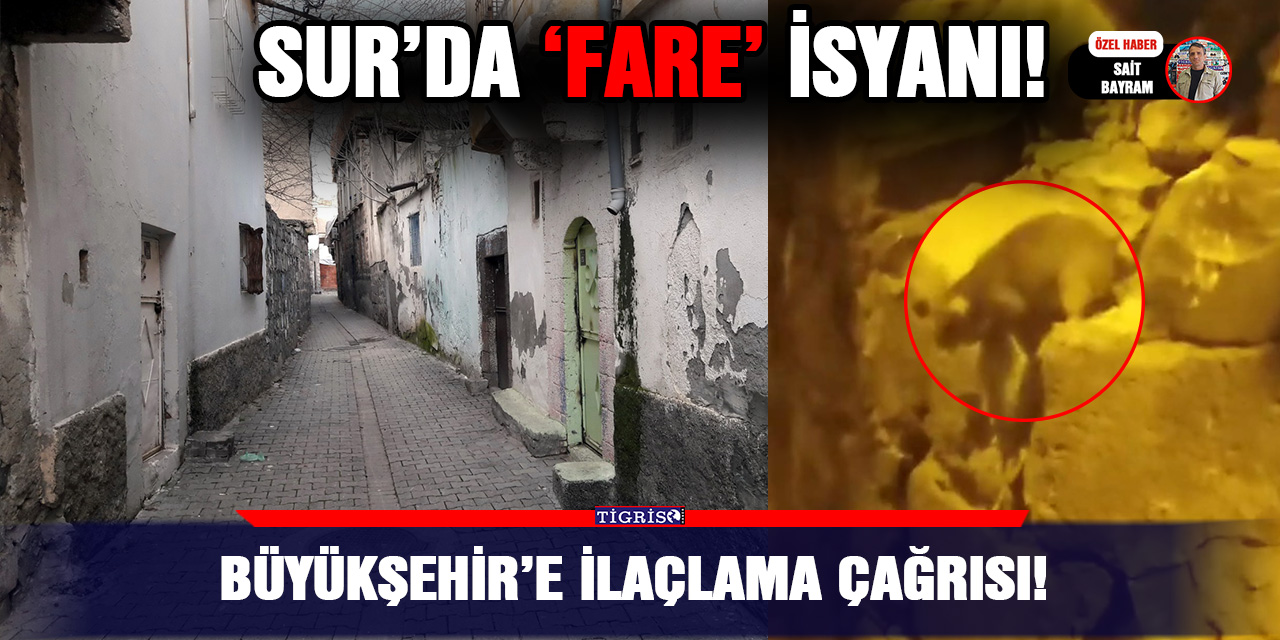 Büyükşehir’e ilaçlama çağrısı!