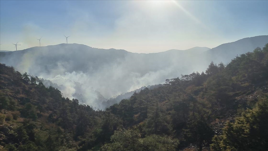 Hatay'da ormanlık alandaki yangın