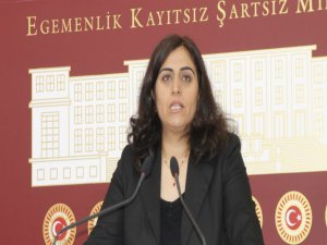 Alevi köye imam atanması Arınç'a soruldu