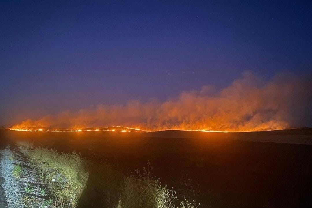 Siirt'te anız yangını