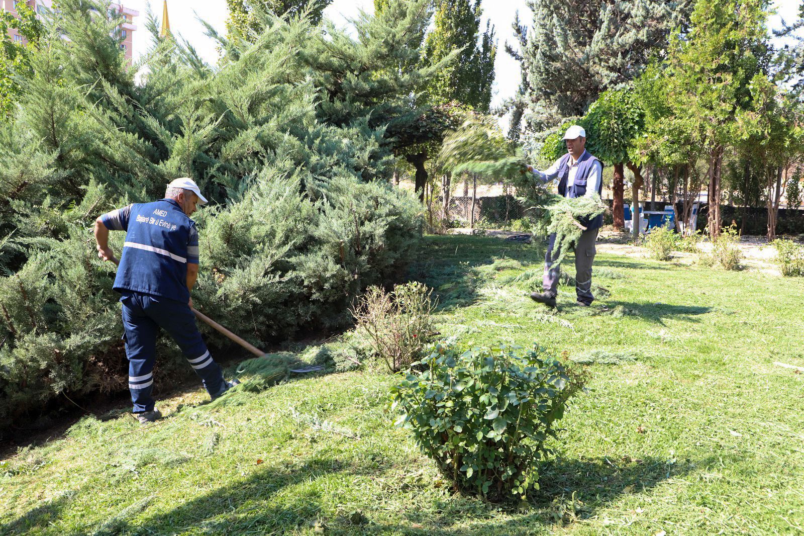 Diyarbakır Büyükşehir Belediyesi bitki üretimine ağırlık verdi