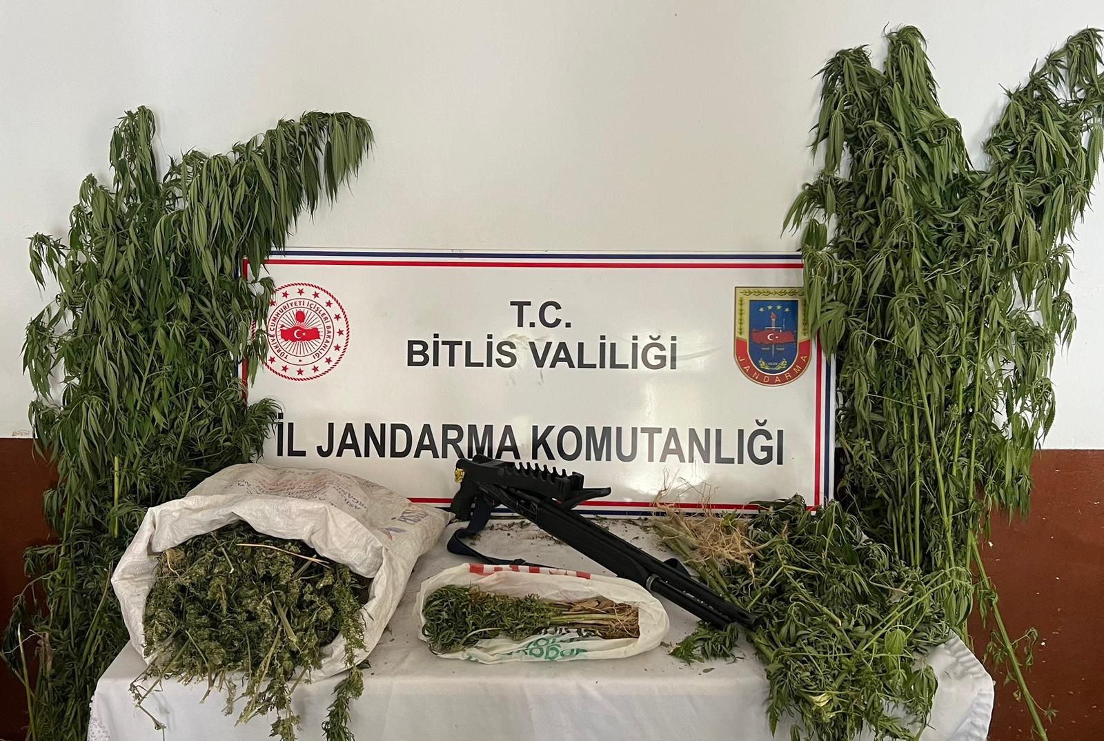 Bitlis'te kenevir ele geçirildi