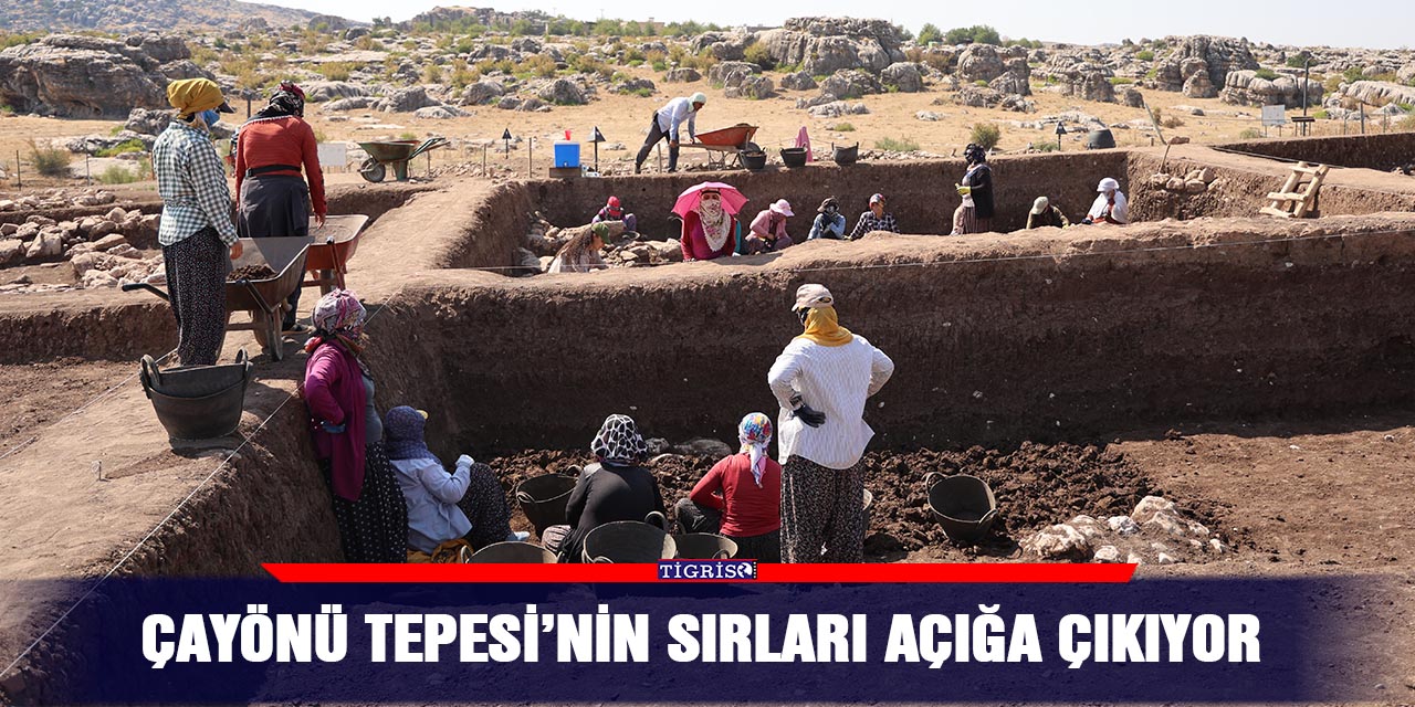 Çayönü Tepesi’nin sırları açığa çıkıyor