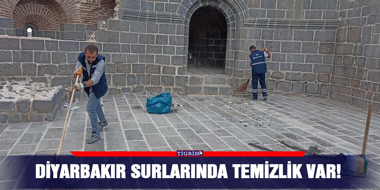 Diyarbakır surlarında temizlik var!