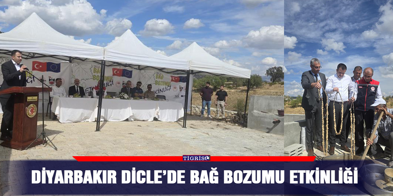 Diyarbakır Dicle’de bağ bozumu etkinliği