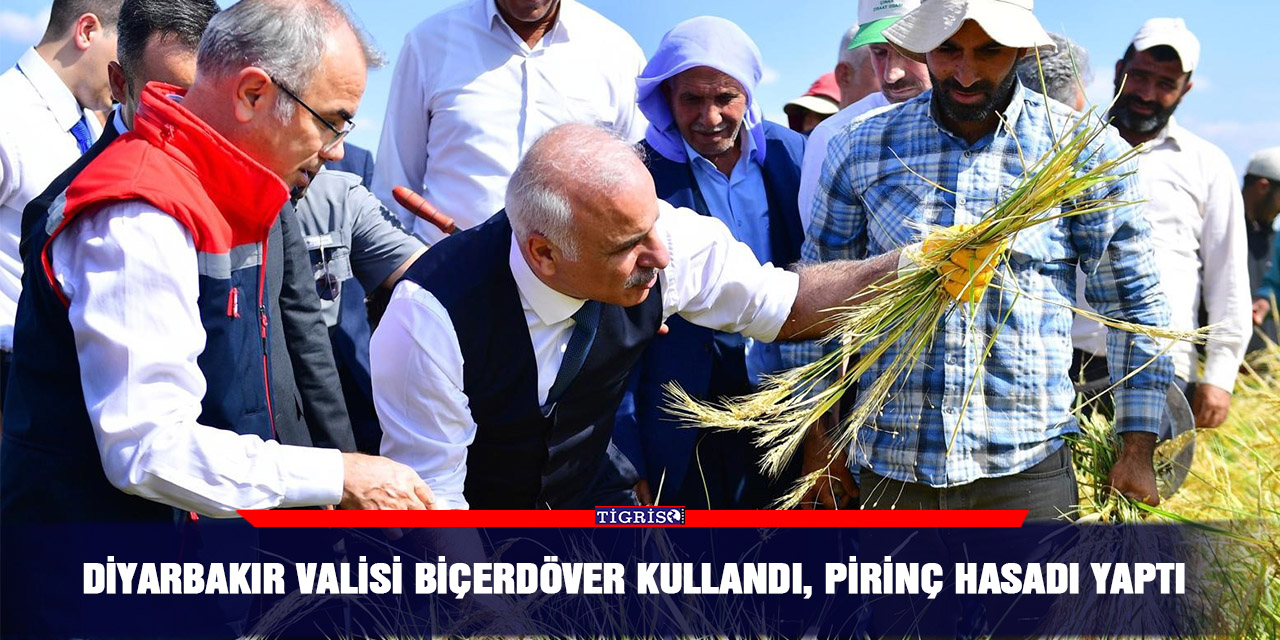 Diyarbakır valisi biçerdöver kullandı, pirinç hasadı yaptı