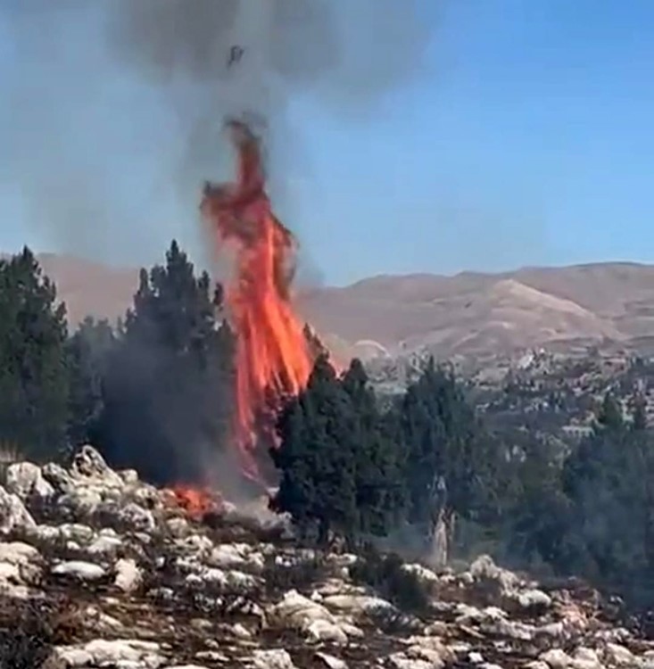 Maraş'taki orman yangını söndürüldü