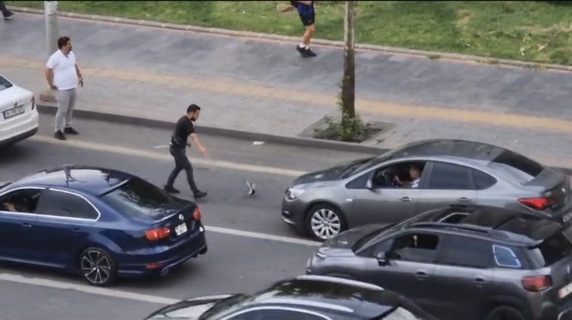 Diyarbakır’da güvercin trafiği durdurdu!