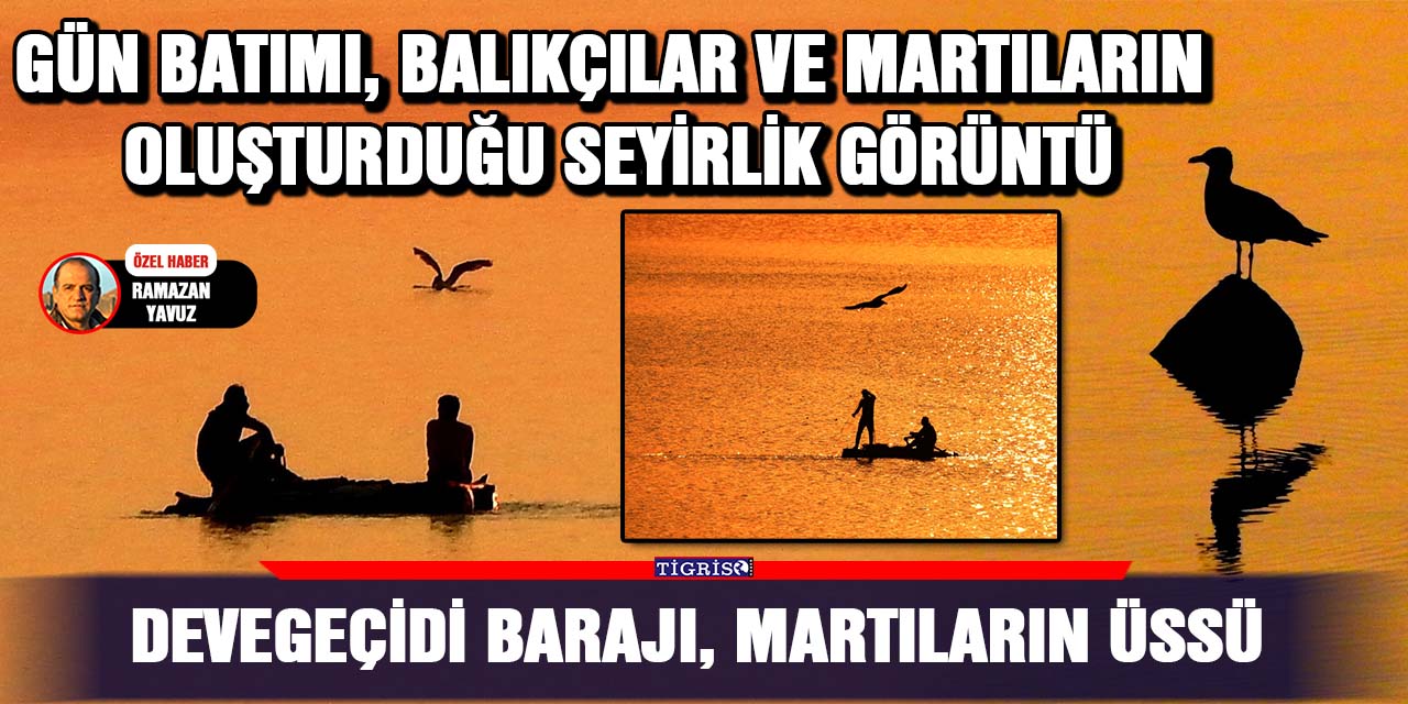 Devegeçidi Barajı, Martıların Üssü