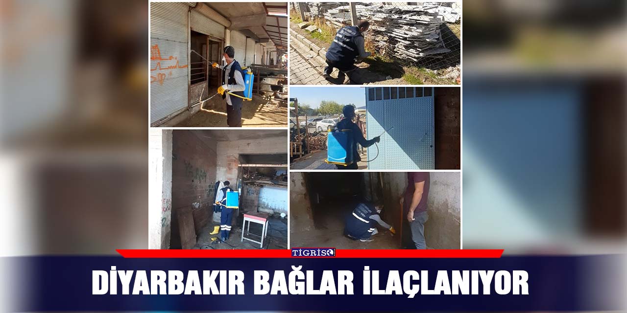 Diyarbakır Bağlar ilaçlanıyor