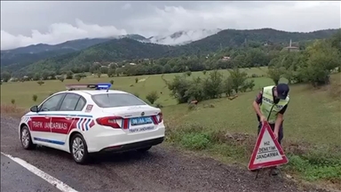 Yerlikaya, motosiklet kazalarıyla ilgili verileri açıkladı