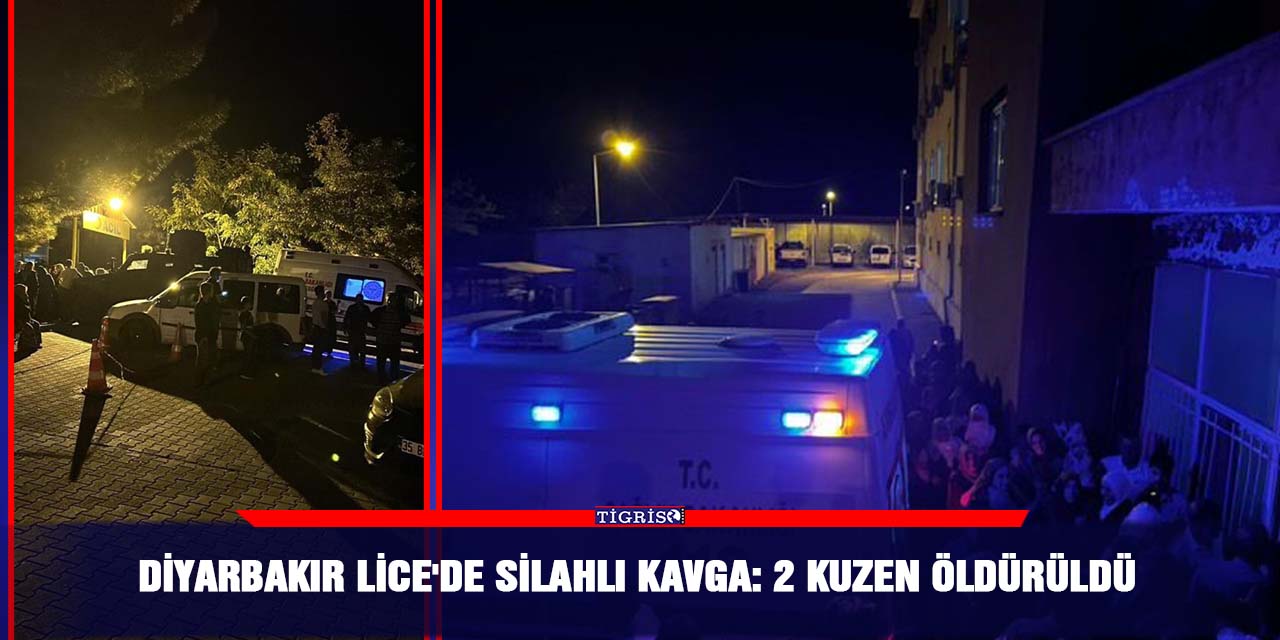 Diyarbakır Lice'de silahlı kavga: 2 kuzen öldürüldü