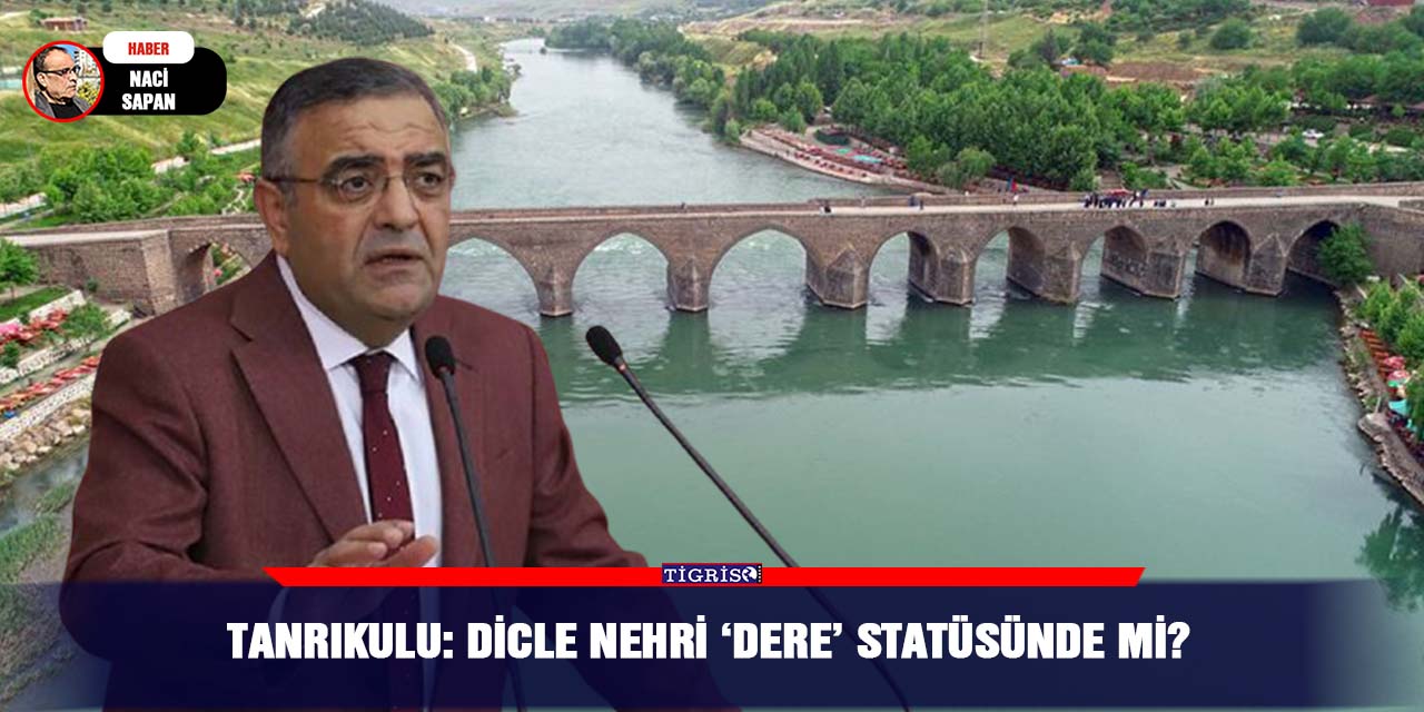 Tanrıkulu: Dicle nehri ‘Dere’ statüsünde mi?