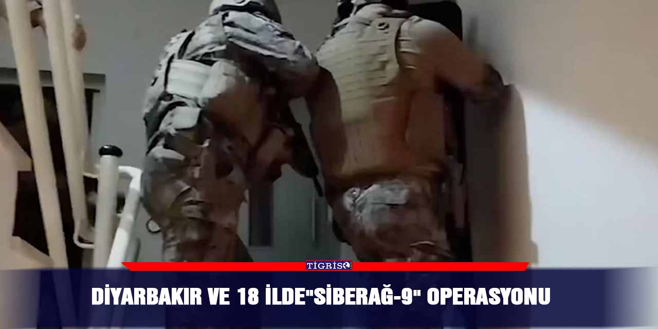 Diyarbakır ve 18 İlde"Siberağ-9" operasyonu