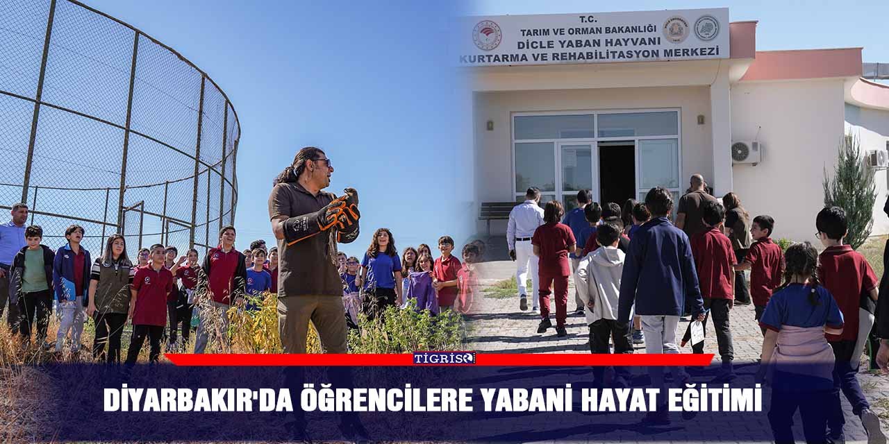 Diyarbakır'da öğrencilere yabani hayat eğitimi