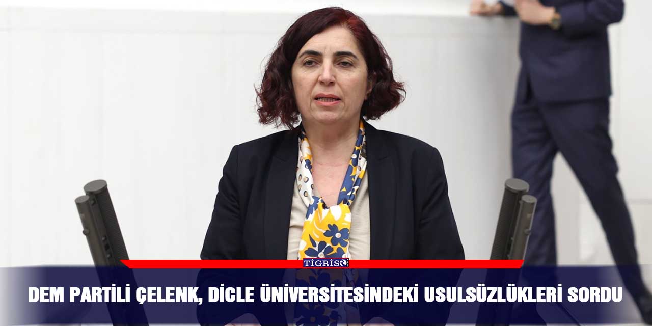 DEM Partili Çelenk, Dicle Üniversitesindeki usulsüzlükleri sordu