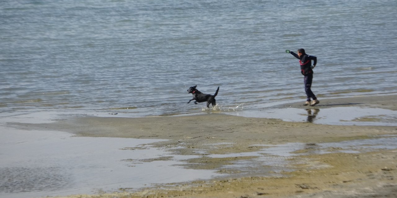 Diyarbakırlı Rojin için AFAD'dan köpekli arama