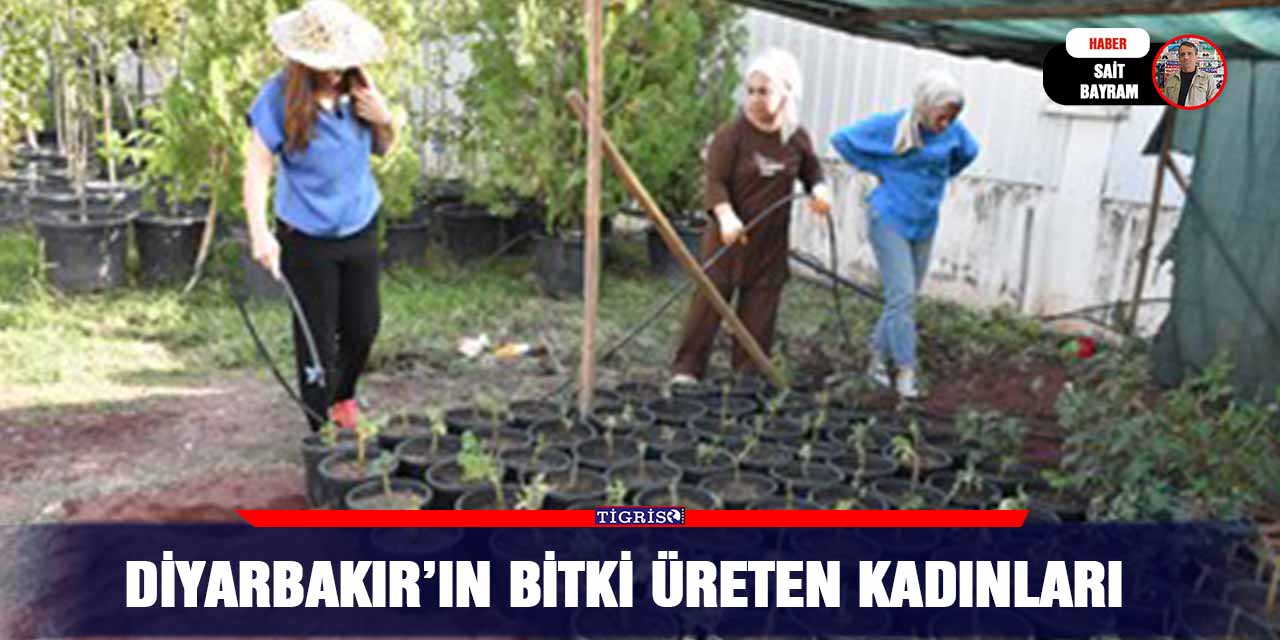 Diyarbakır’ın bitki üreten kadınları