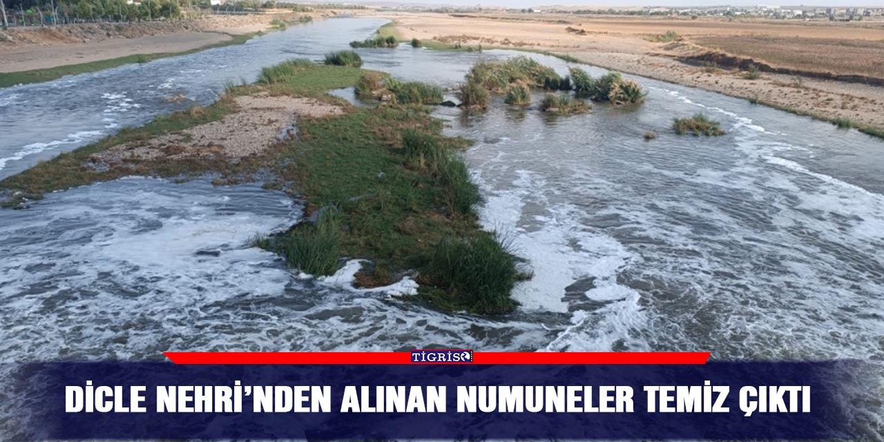 Dicle Nehri’nden alınan numuneler temiz çıktı