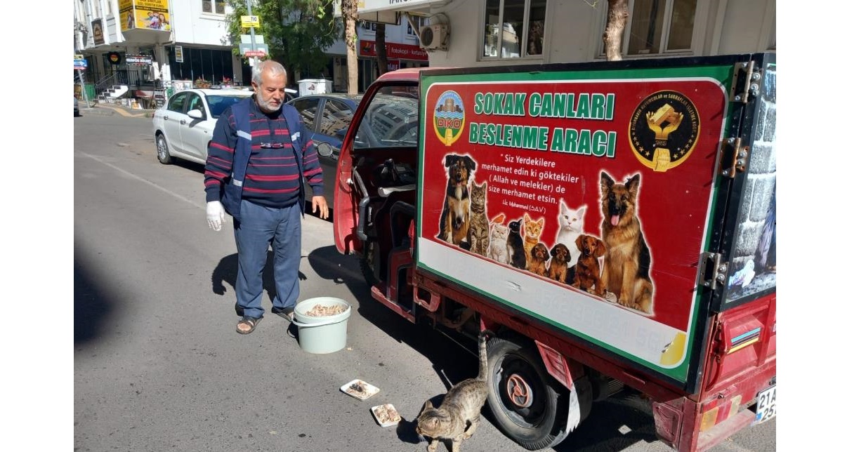 Diyarbakır'da sokak hayvanları için önemli çağrı