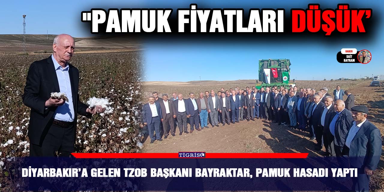 VİDEO - Diyarbakır’a gelen TZOB Başkanı Bayraktar, pamuk hasadı yaptı