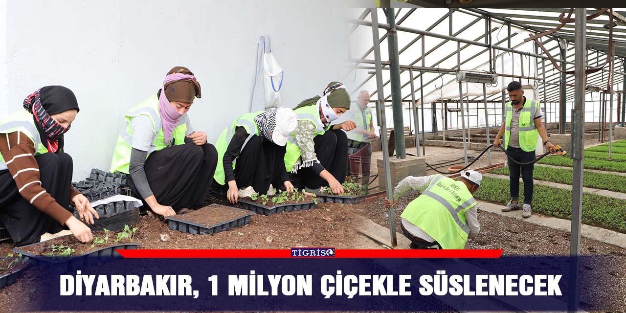 Diyarbakır, 1 milyon çiçekle süslenecek