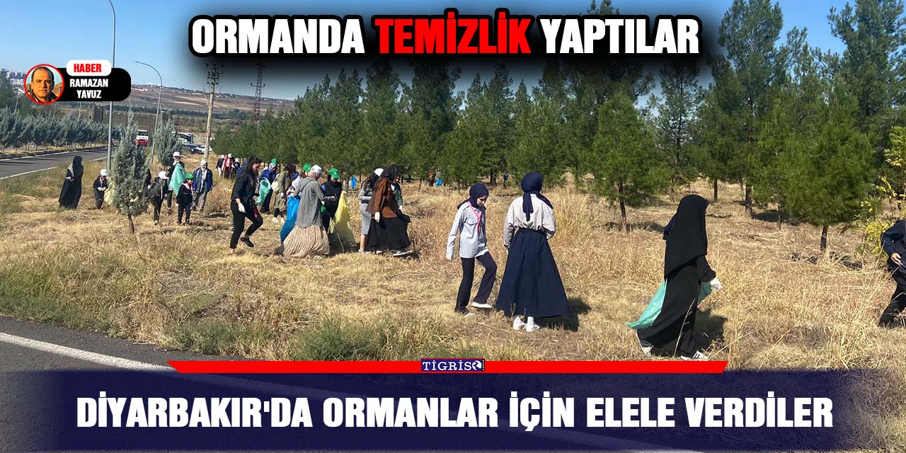 Diyarbakır'da Ormanlar İçin Elele verdiler