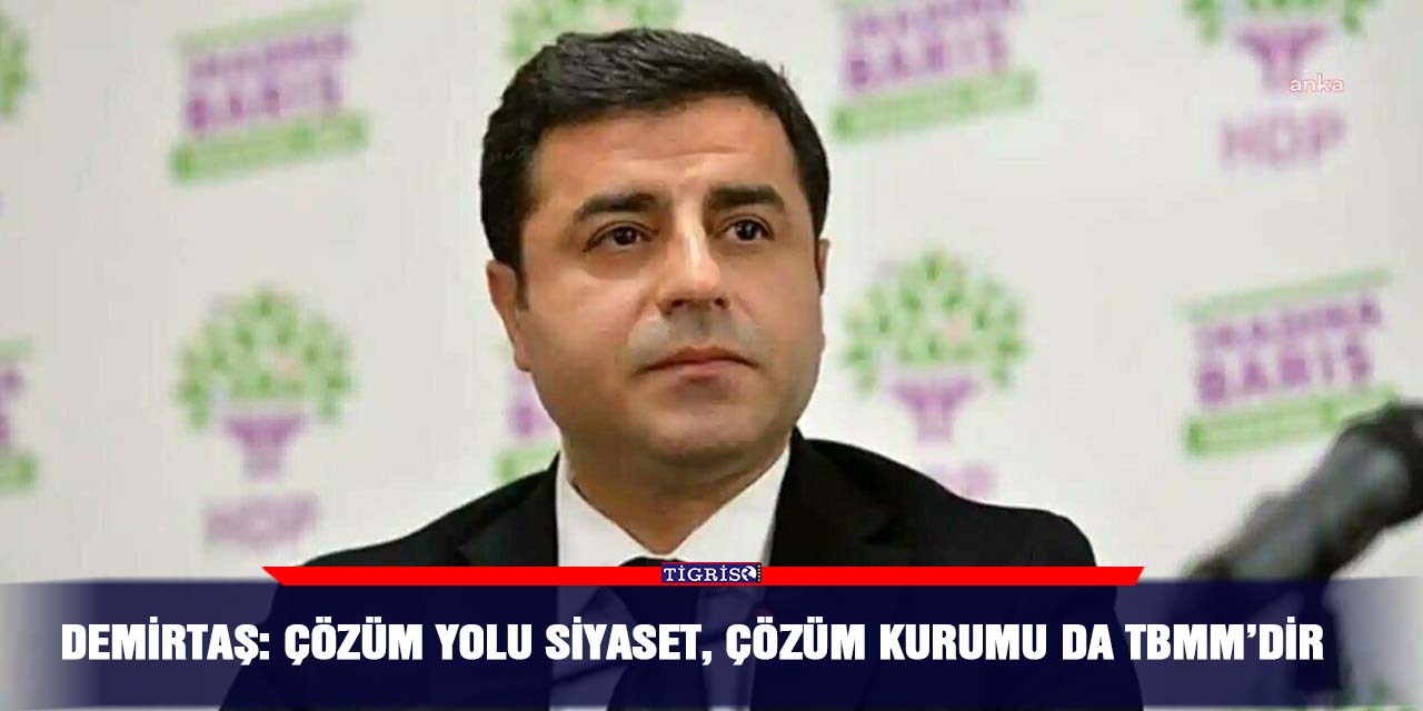 Demirtaş: Çözüm yolu siyaset, çözüm kurumu da TBMM’dir