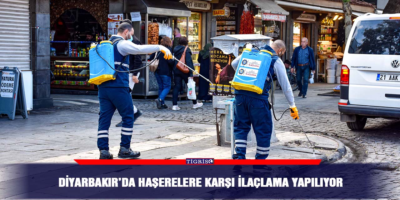 Diyarbakır’da haşerelere karşı ilaçlama yapılıyor