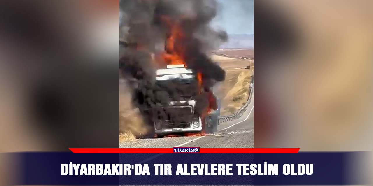 Diyarbakır'da TIR alevlere teslim oldu