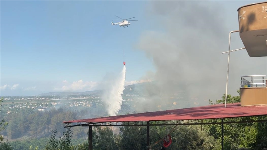 Hatay’da 95 hektar alanda yangın zararı