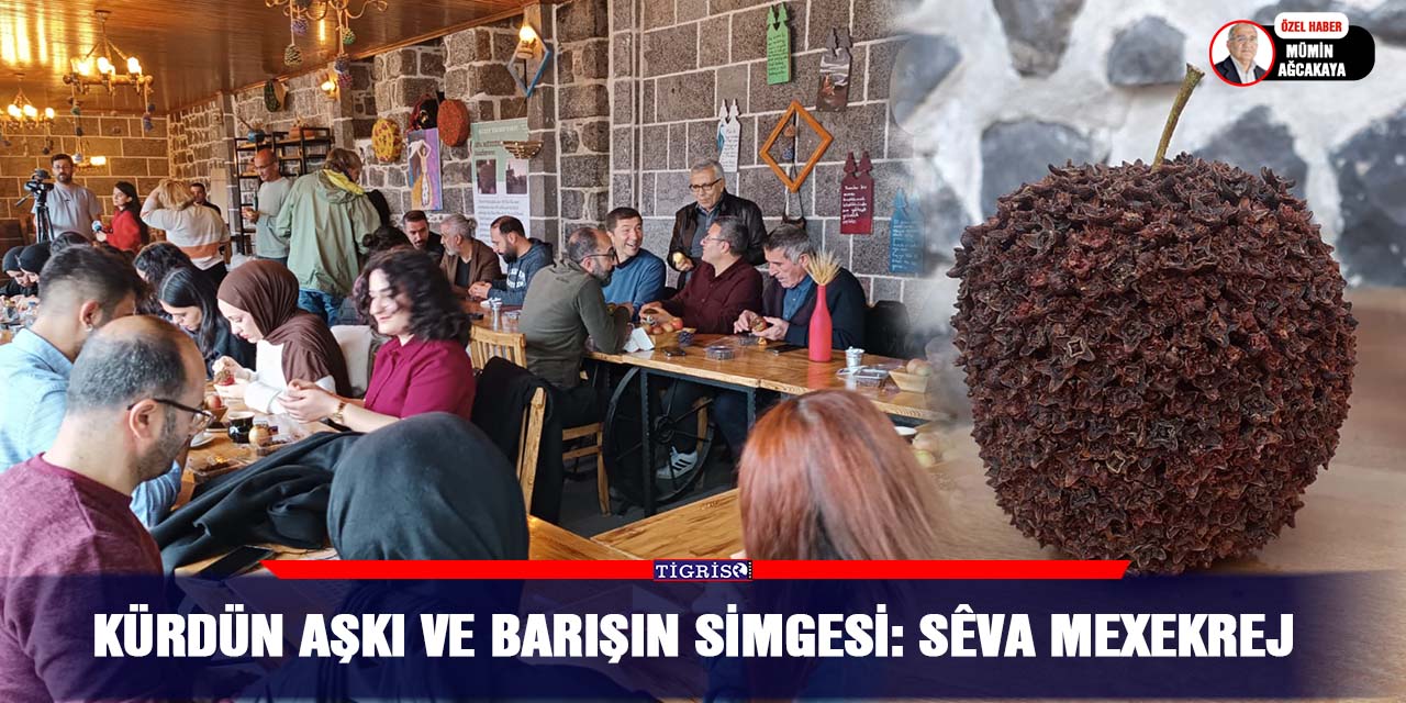 Kürdün Aşkı ve Barışın simgesi: Sêva Mexekrej