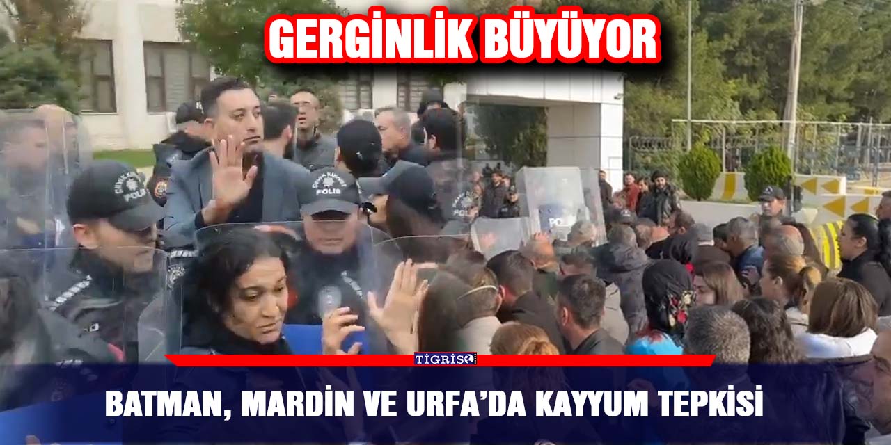 VİDEO - Batman, Mardin ve Urfa’da kayyum tepkisi