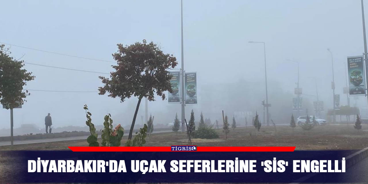 VİDEO - Diyarbakır'da uçak seferlerine 'sis' engelli