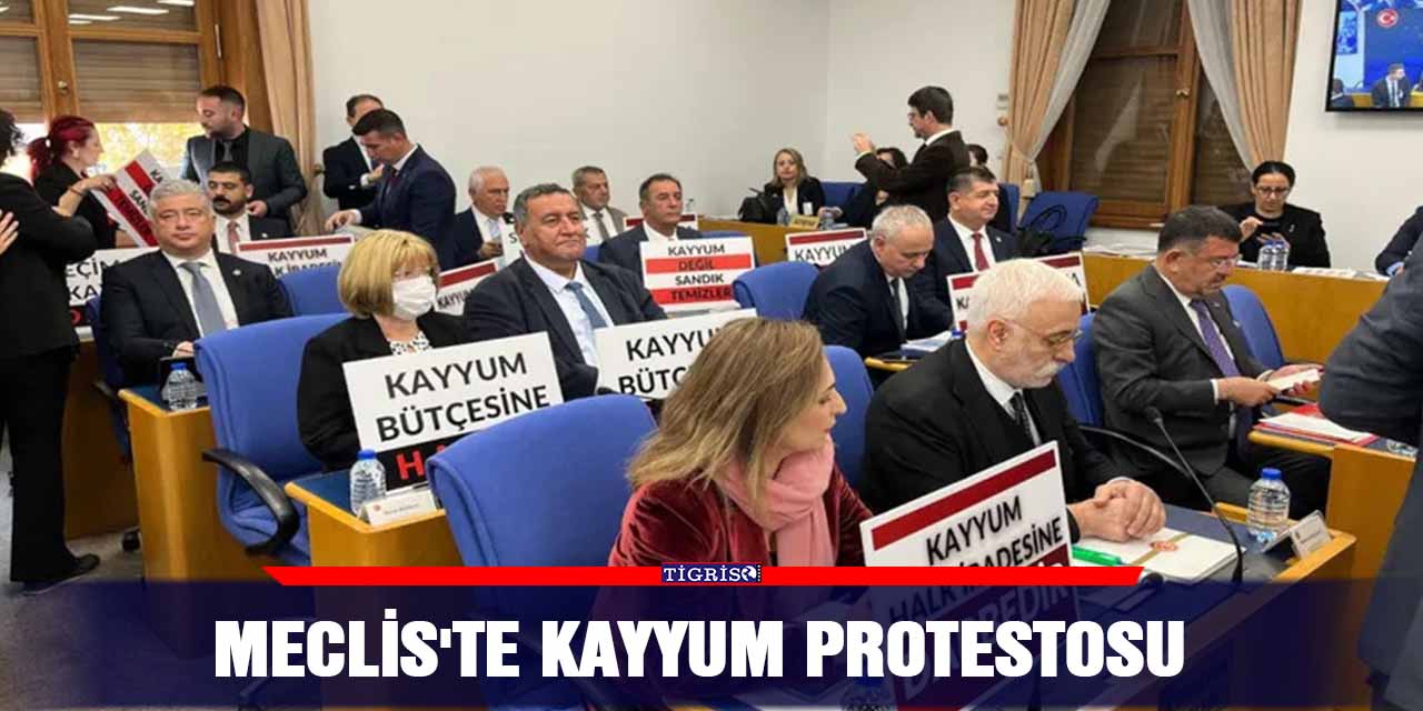 Meclis'te kayyum protestosu