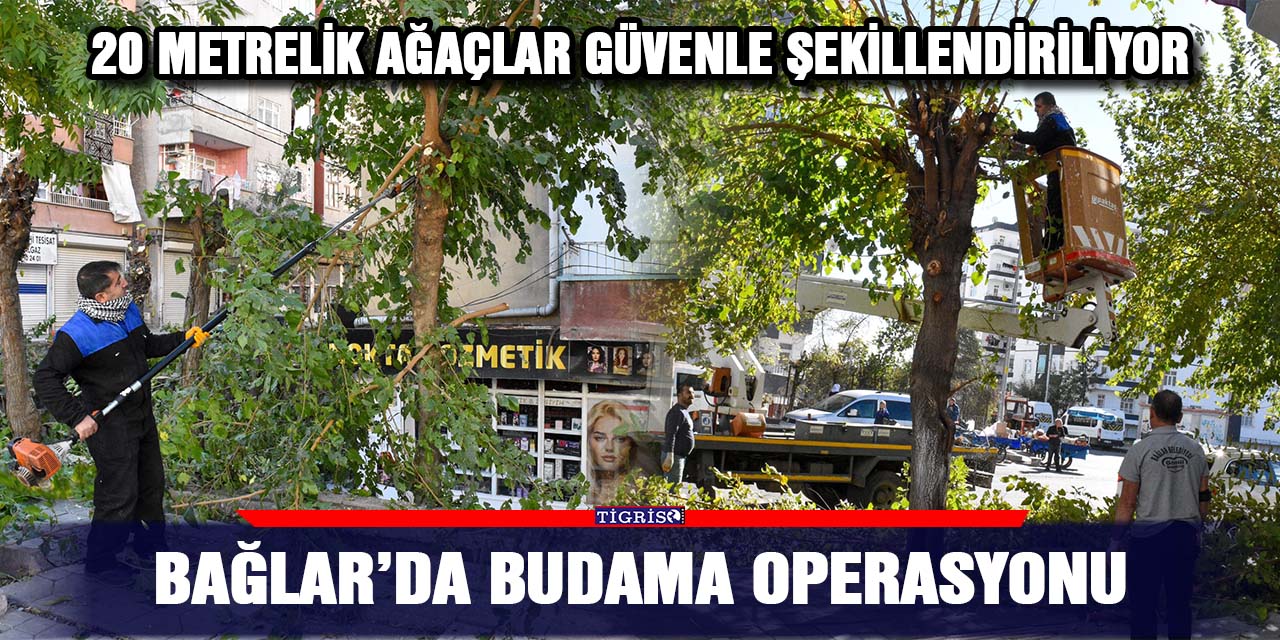 Bağlar’da budama operasyonu