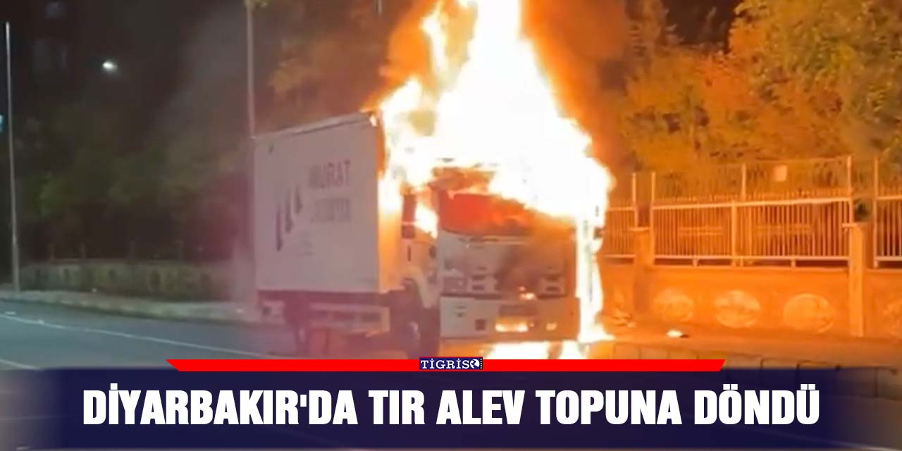 Diyarbakır'da TIR alev topuna döndü