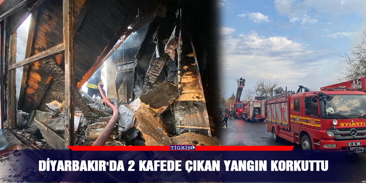 Diyarbakır'da 2 kafede çıkan yangın korkuttu