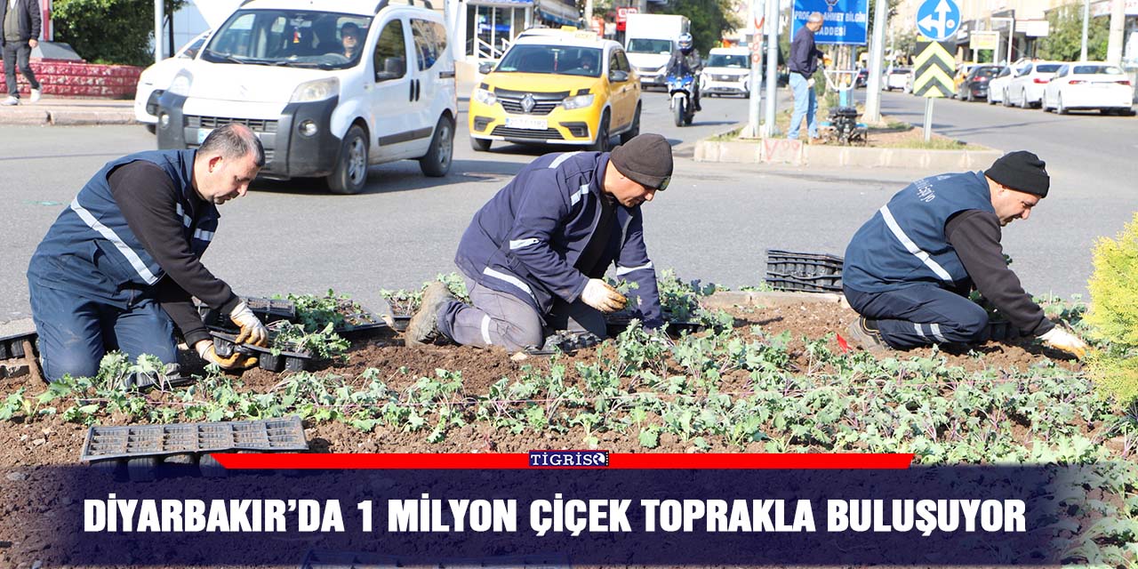 Diyarbakır’da 1 milyon çiçek toprakla buluşuyor