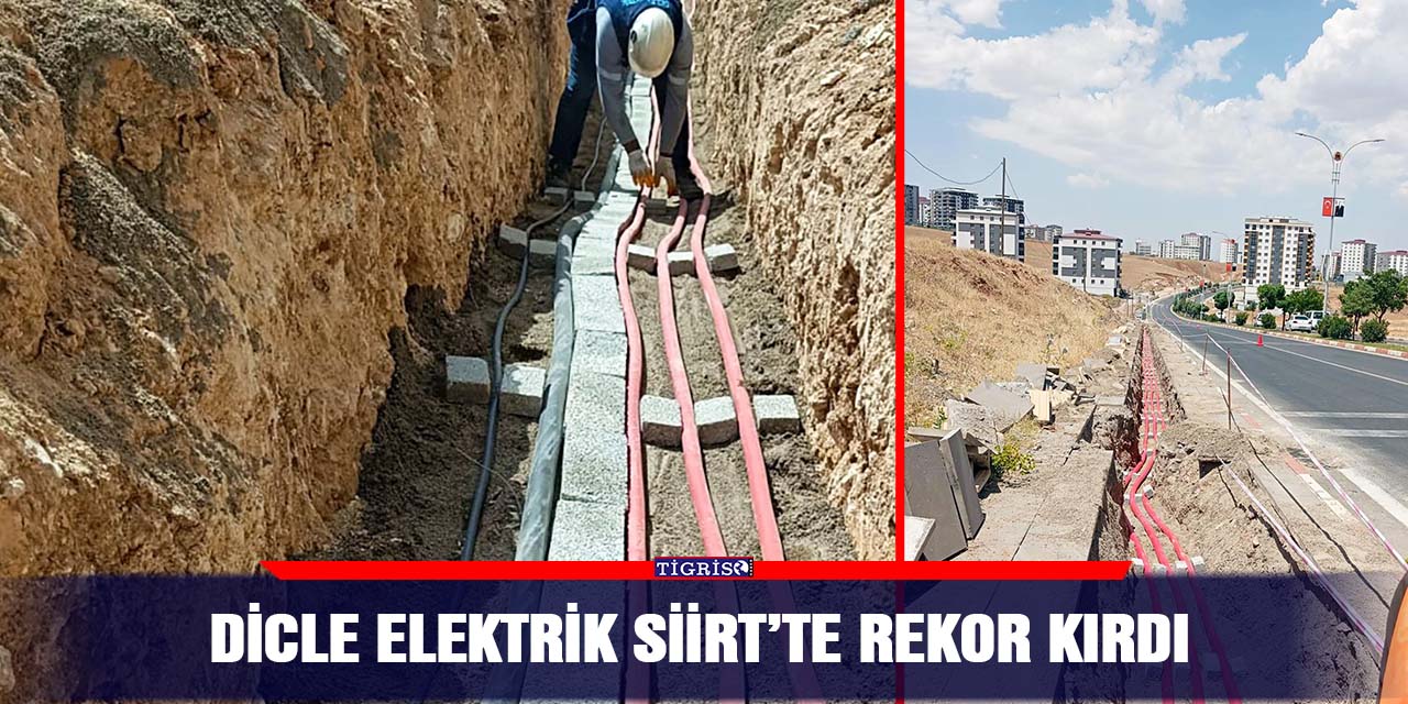 Dicle elektrik Siirt’te rekor kırdı