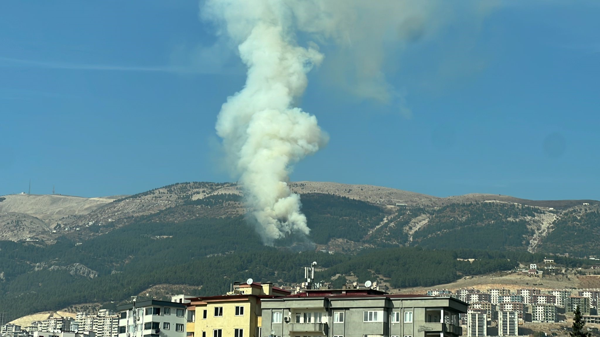 Maraş'ta orman yangını