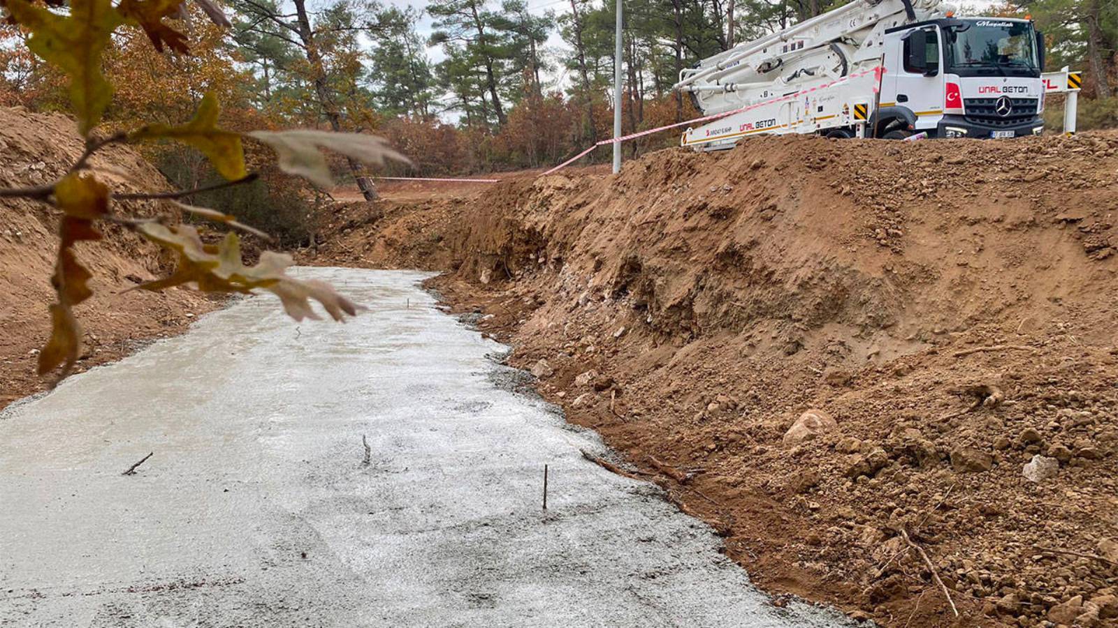 Kazdağları'nda çevre katliamı!