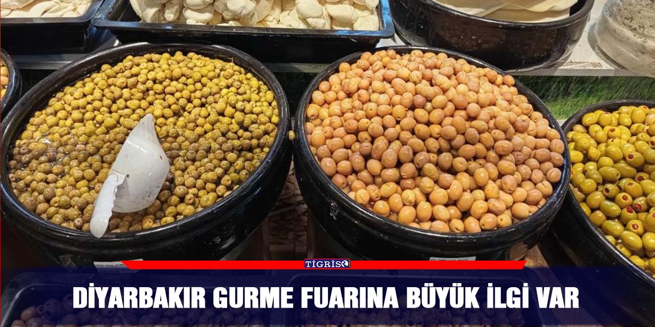 Diyarbakır Gurme fuarına büyük ilgi var