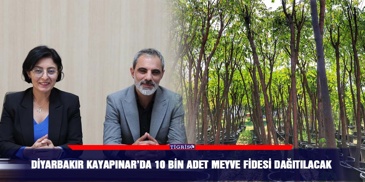 Diyarbakır Kayapınar’da 10 bin adet meyve fidesi dağıtılacak