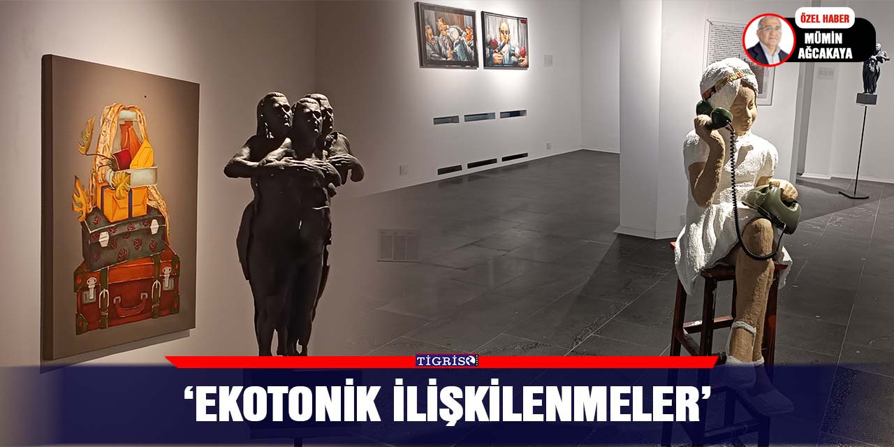 VİDEO - ‘Ekotonik İlişkilenmeler’