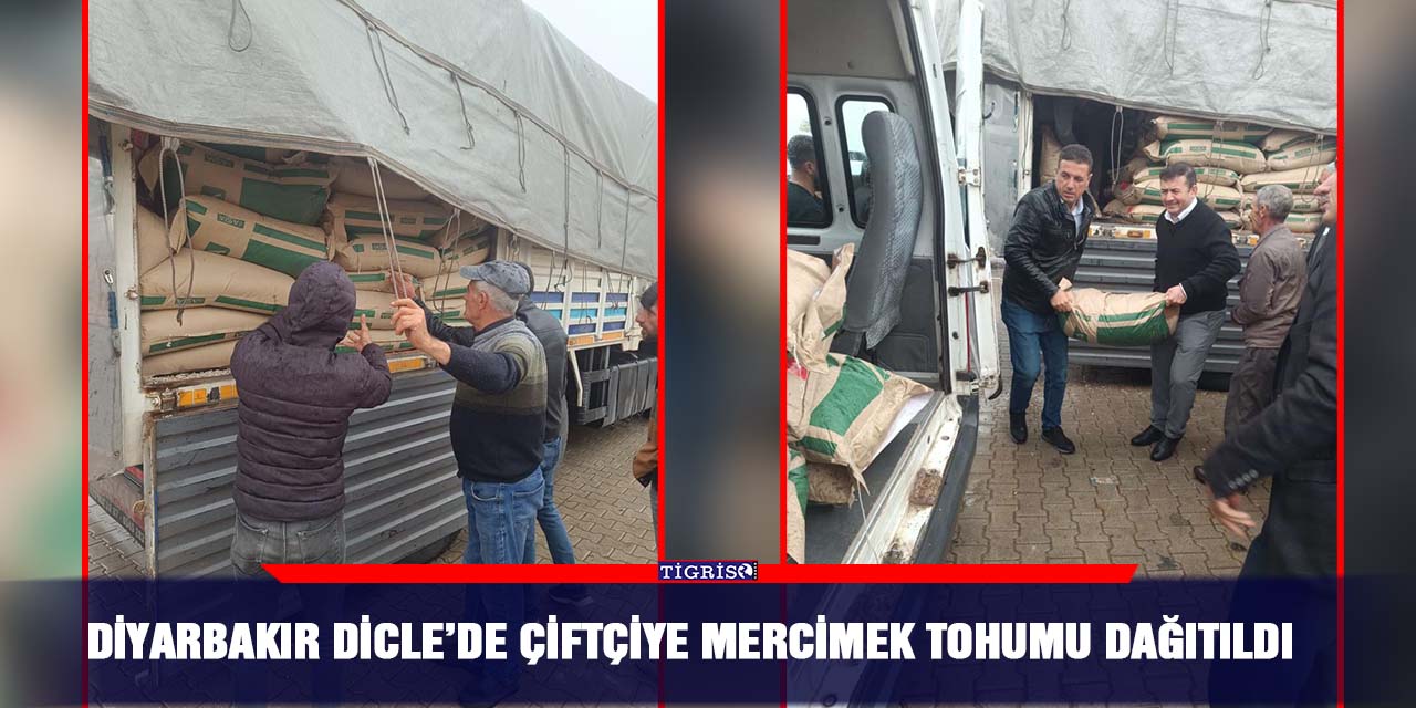 Diyarbakır Dicle’de çiftçiye mercimek tohumu dağıtıldı