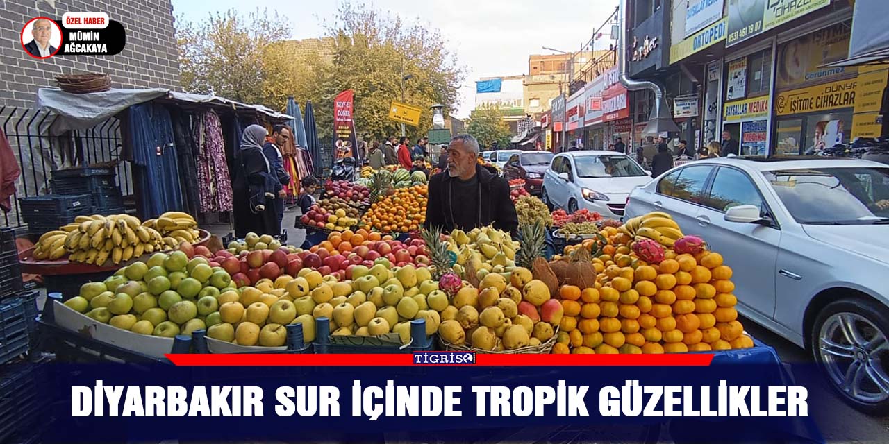 VİDEO - Diyarbakır Sur içinde tropik güzellikler