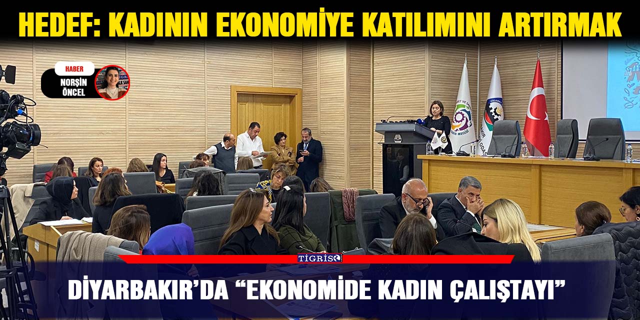 Diyarbakır’da “Ekonomide Kadın Çalıştayı”