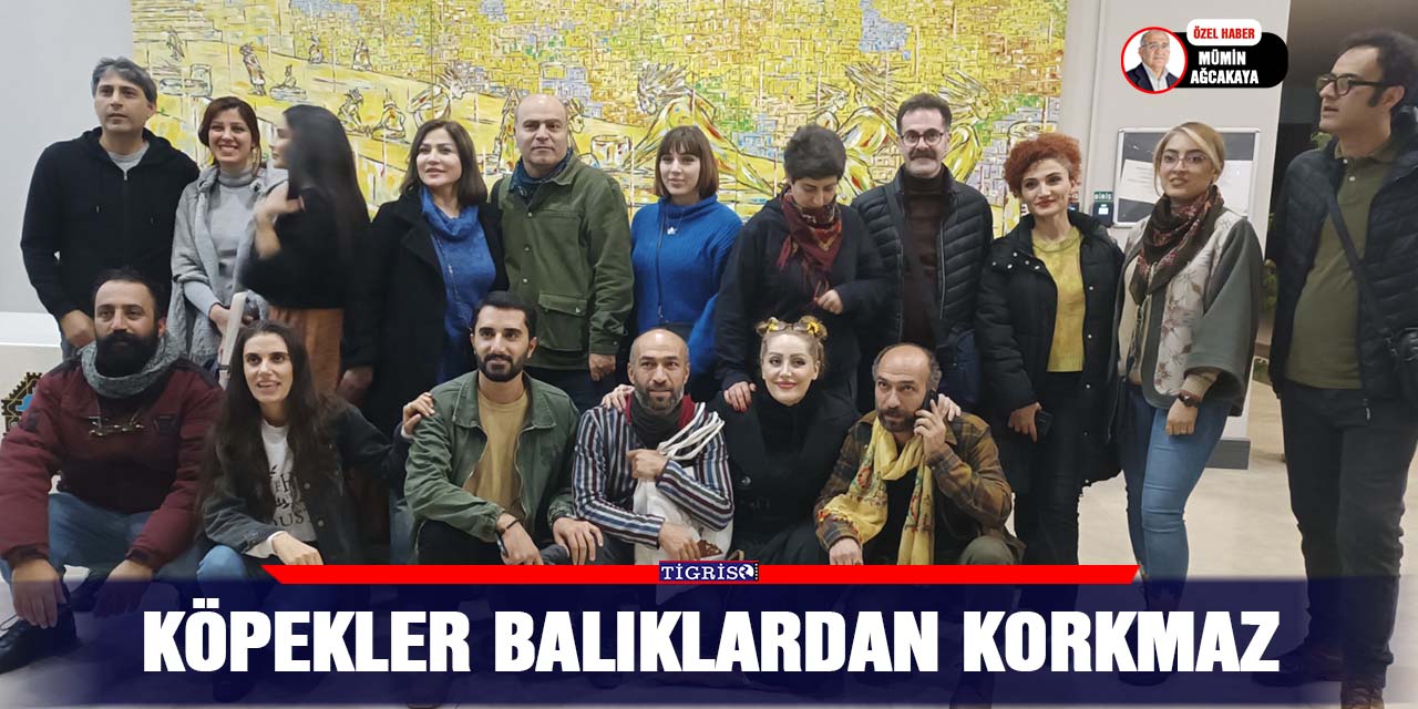 VİDEO - Köpekler Balıklardan Korkmaz