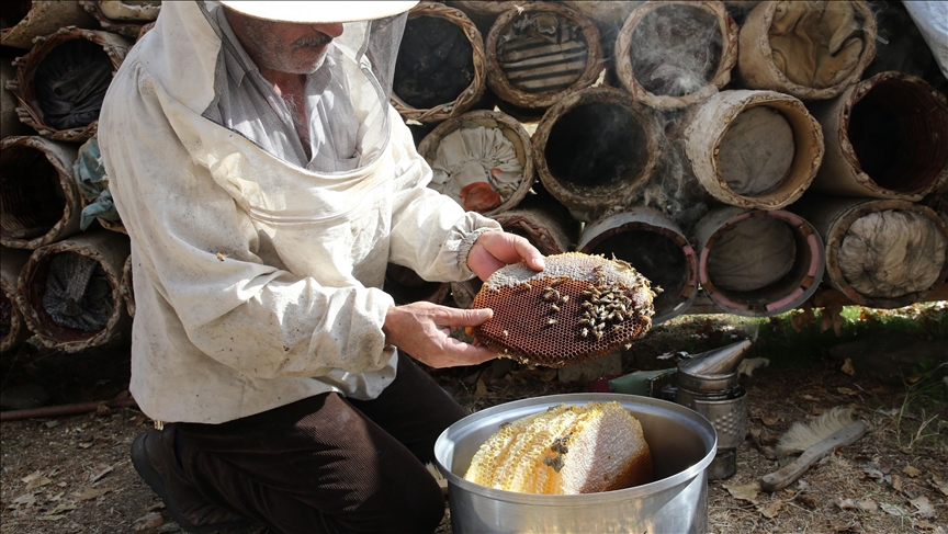 Bitlis'te bal hasadı devam ediyor